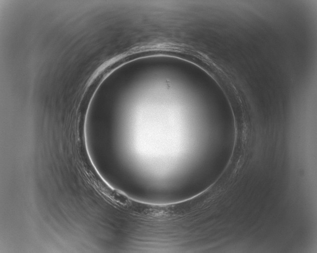 X0000086251222200703291357