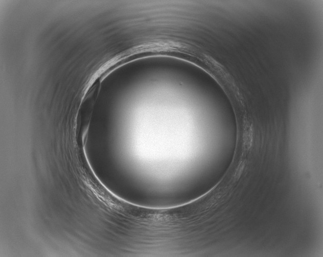 X0000086251226200703291358