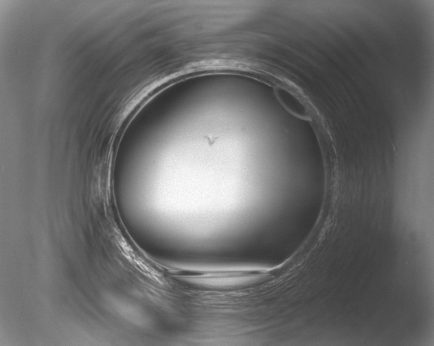 X0000086251228200703291358