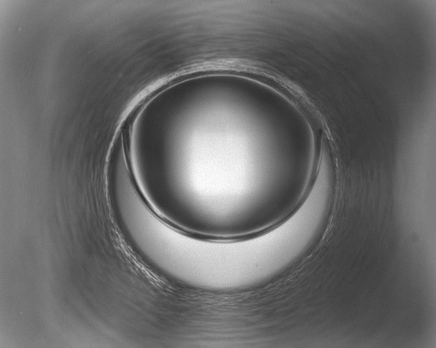 X0000086251230200703291358