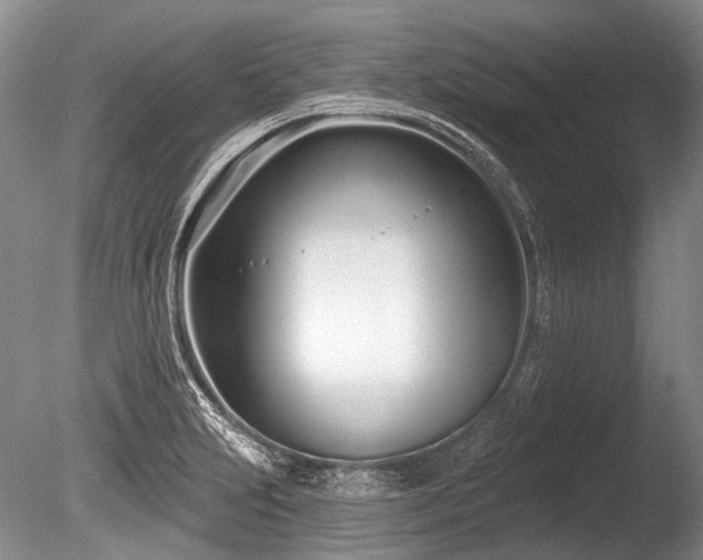 X0000086251231200703291358