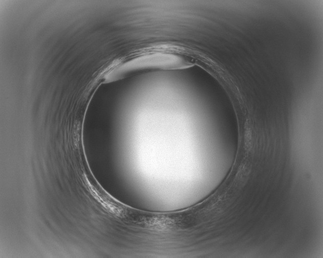 X0000086251233200703291358