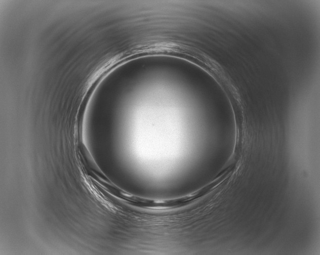 X0000086251234200703291358