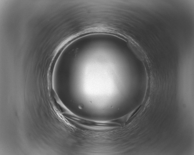 X0000086251238200703291358