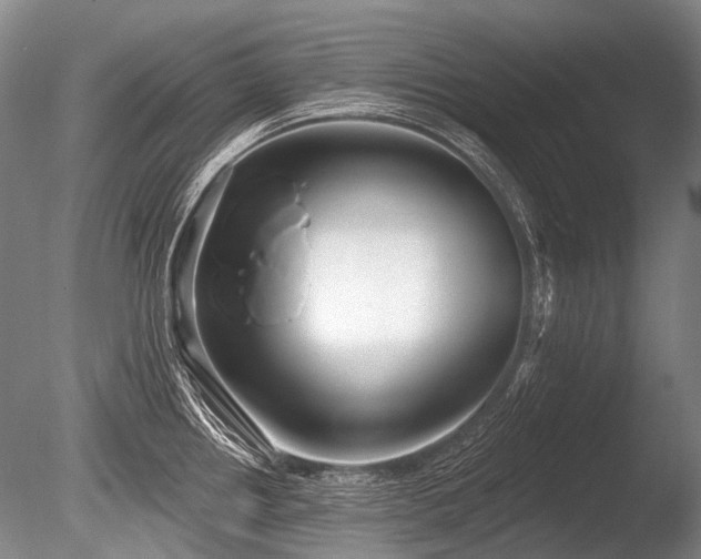 X0000086251242200703291358