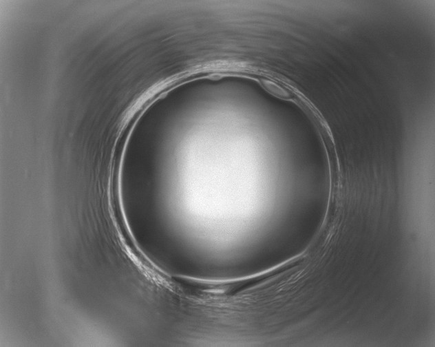 X0000086251245200703291358