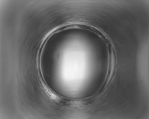 X0000086251246200703291358