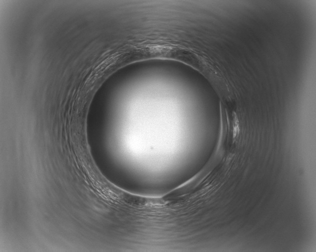 X0000086251249200703291357
