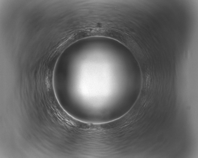 X0000086251250200703291357