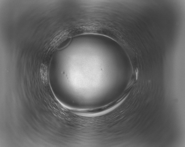 X0000086251251200703291357