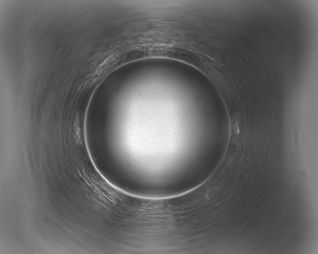 X0000086251252200703291357