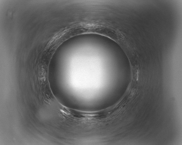 X0000086251253200703291357
