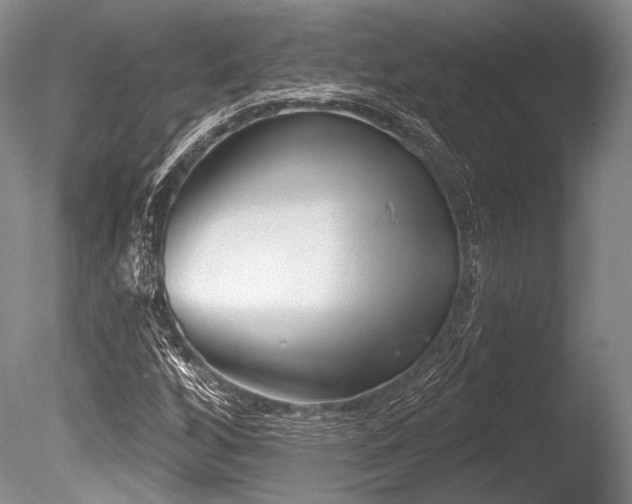 X0000086251256200703291357