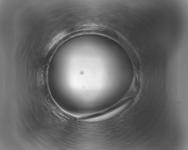 X0000086251259200703291357