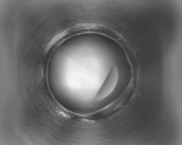 X0000086251261200703291357