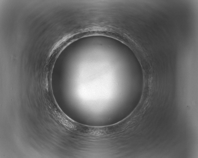 X0000086251262200703291357