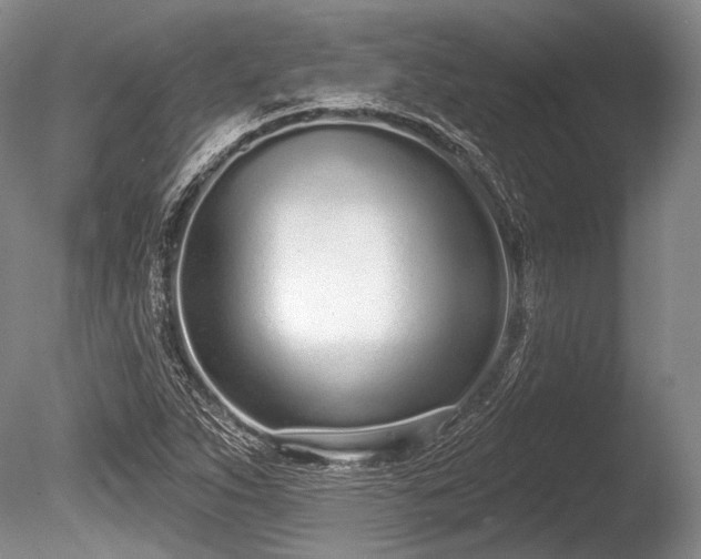 X0000086251263200703291357