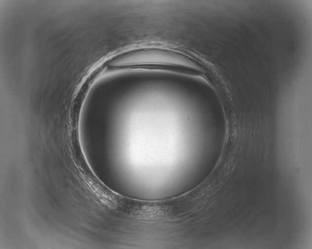 X0000086251264200703291357