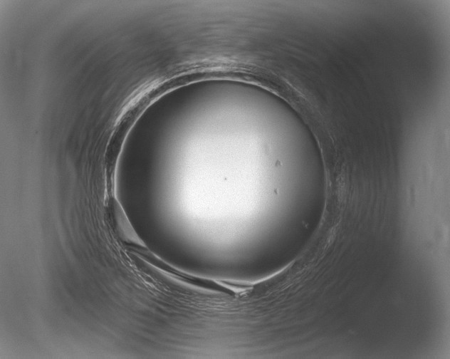 X0000086251267200703291357