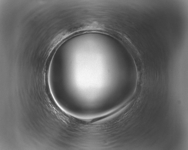 X0000086251268200703291357