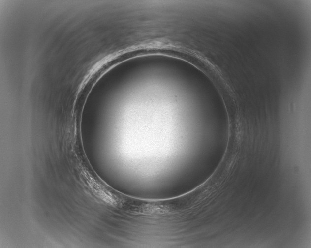 X0000086251270200703291357