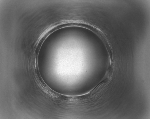 X0000086251271200703291357