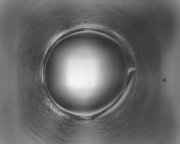 X0000086251272200703291357