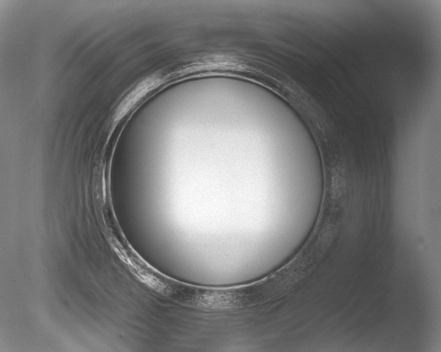 X0000086251274200703291357
