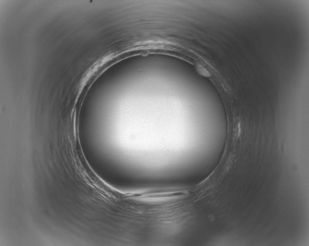 X0000086251275200703291357