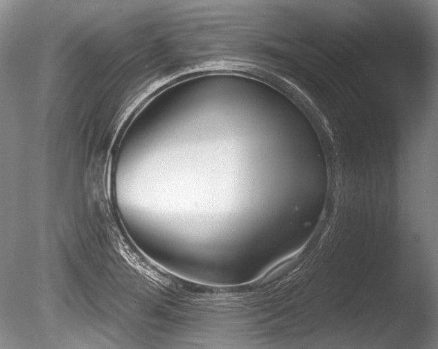 X0000086251276200703291357