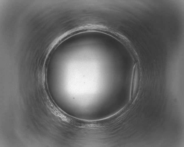 X0000086251280200703291357