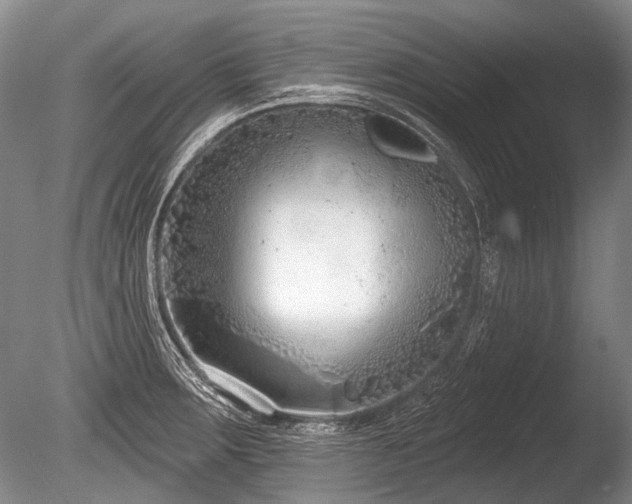 X0000086251283200703291357