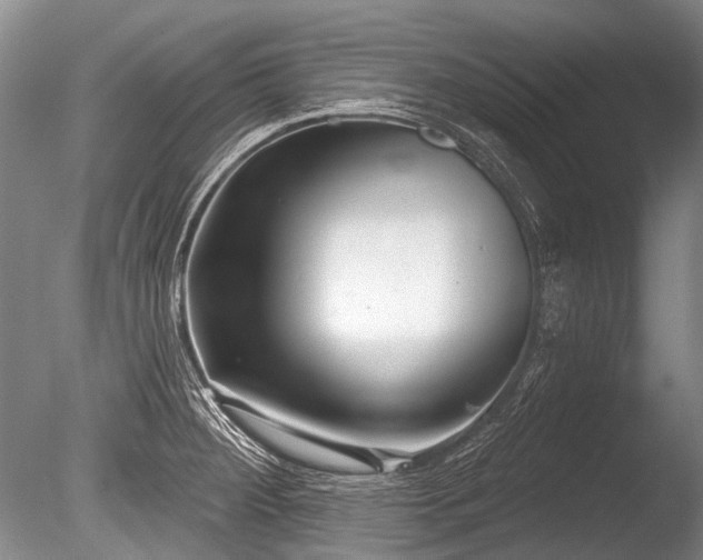 X0000086251284200703291357