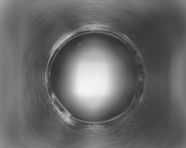 X0000086251285200703291357