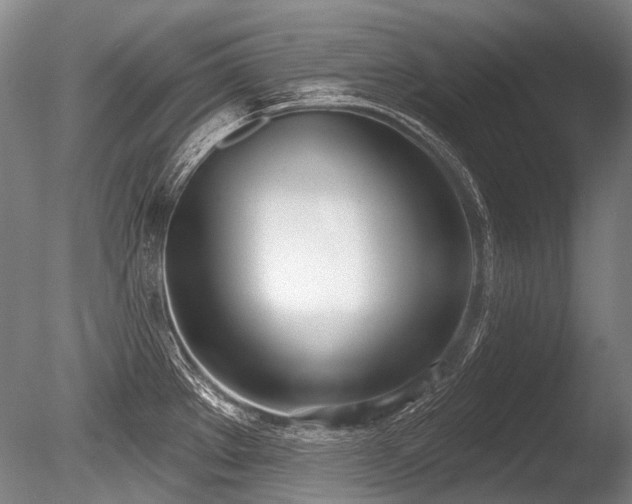 X0000086251289200703291356