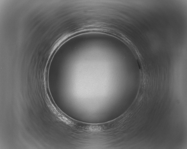 X0000086251291200703291356
