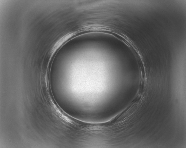 X0000086251293200703291356