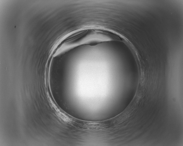 X0000086251295200703291356
