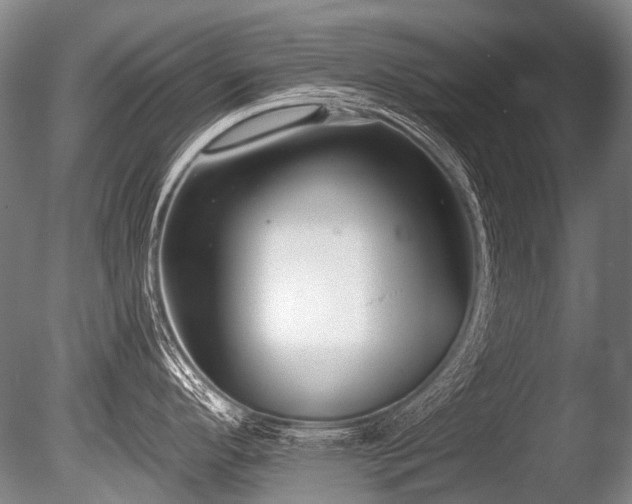 X0000086251296200703291356