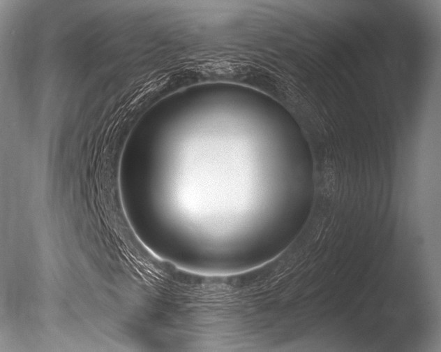 X0000086251297200703291355