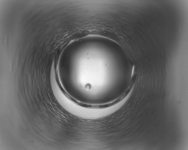 X0000086251298200703291356