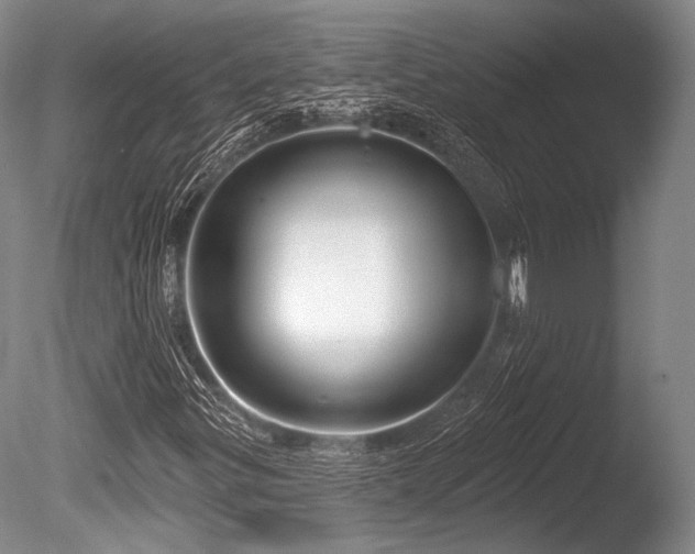 X0000086251299200703291356