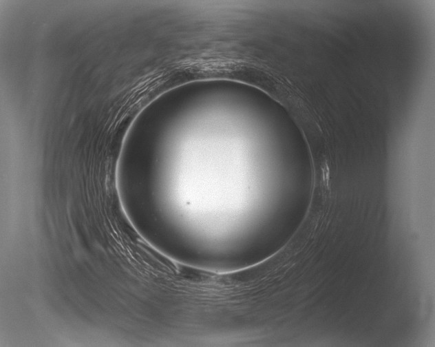 X0000086251300200703291356