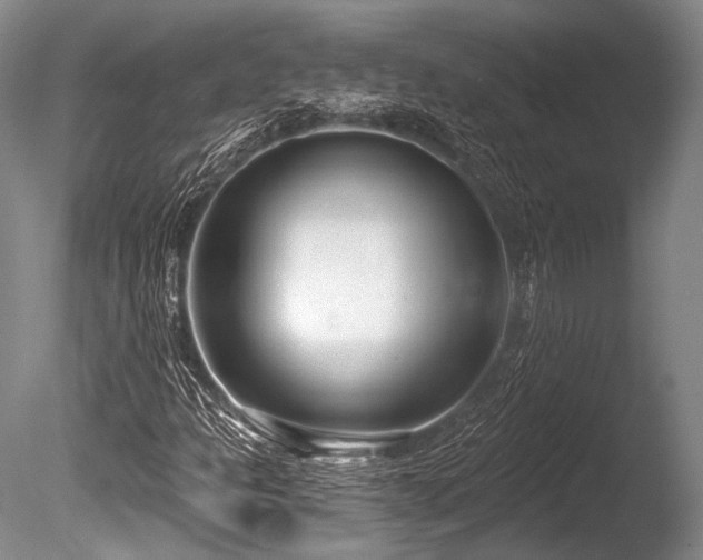 X0000086251301200703291356