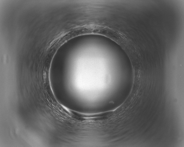 X0000086251302200703291356