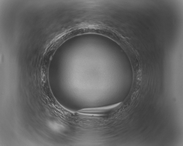 X0000086251303200703291356