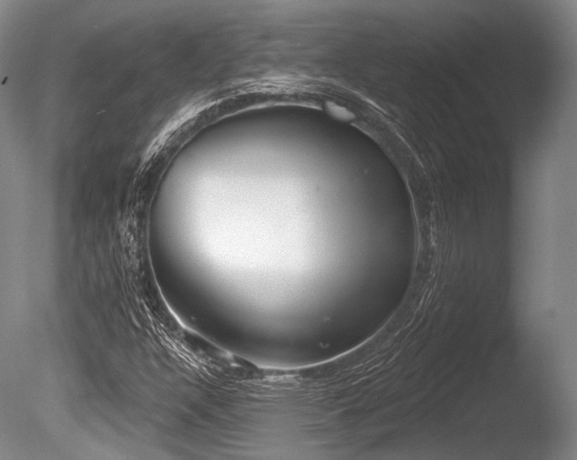 X0000086251304200703291356