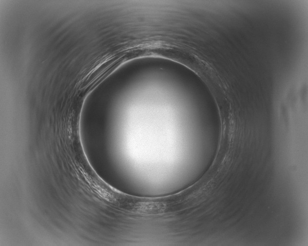 X0000086251305200703291356