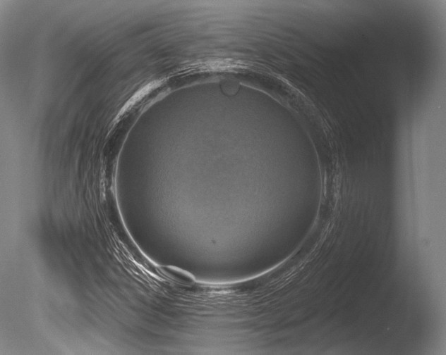 X0000086251306200703291356