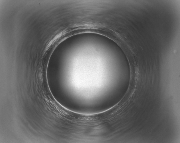 X0000086251307200703291356